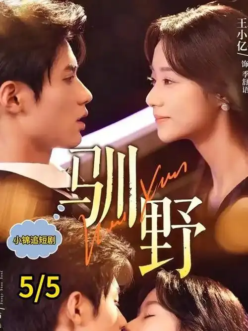 蓝光入巷灯火如常 剧照